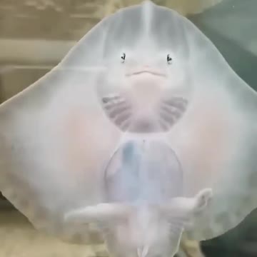 Don't miss the opportunity to have a nice stay at the Dance Fight