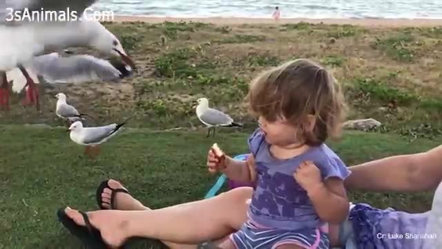 when animals gone crazy, people got crazy too
