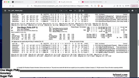 Capping Corner - Malibu and La Brea Stakes 2024 at Santa Anita Park - Horse Racing