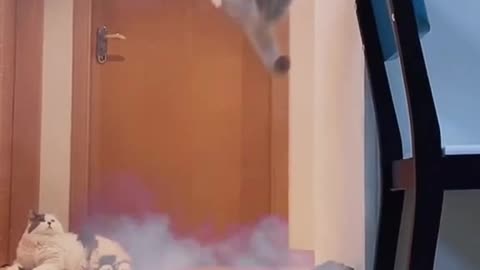 Cat Hero super cat fly