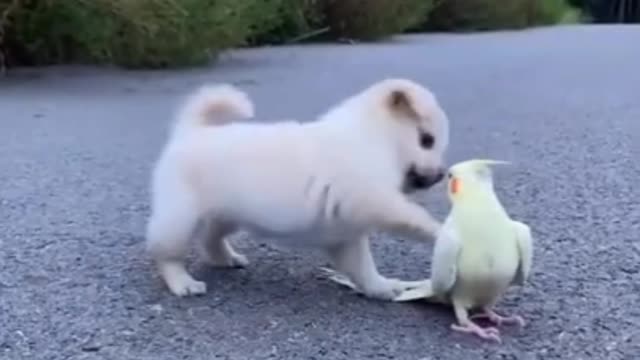Best friends, little big friends like this is for them haha