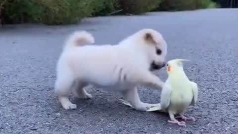 Best friends, little big friends like this is for them haha