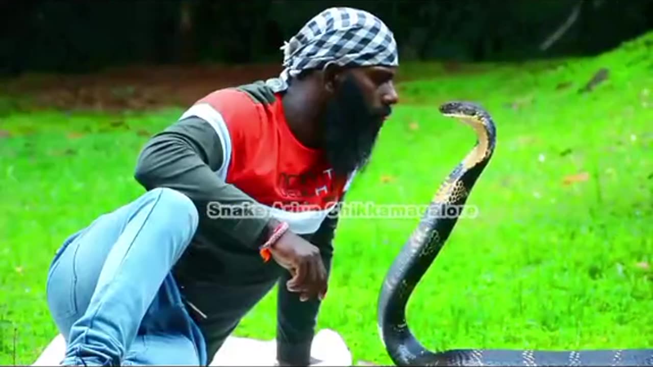 সাপকে চুমু খাওয়া