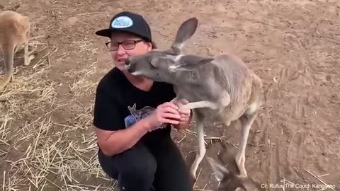 Special ways animal says i love you too