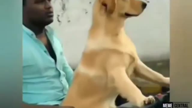 Seriously || Dog Is Riding Bike And Man is Sitting Behind Him