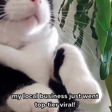 My Local Business Just Went Viral with RevuRise.com