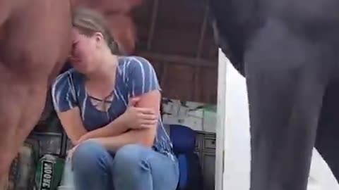 Horse comforts emotional owner