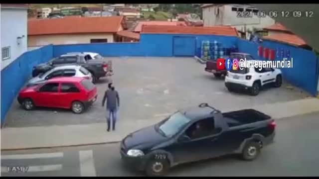 Perro atropella a un hombre