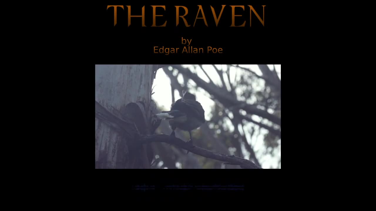 The Raven