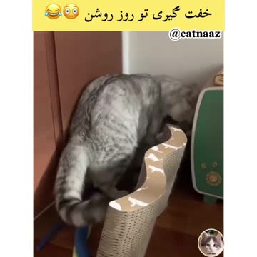 Coercion in broad daylight