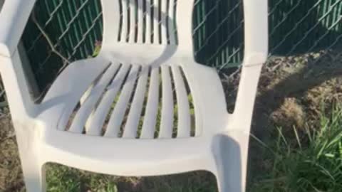 My two lawn chairs