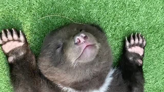 The joy of little legs