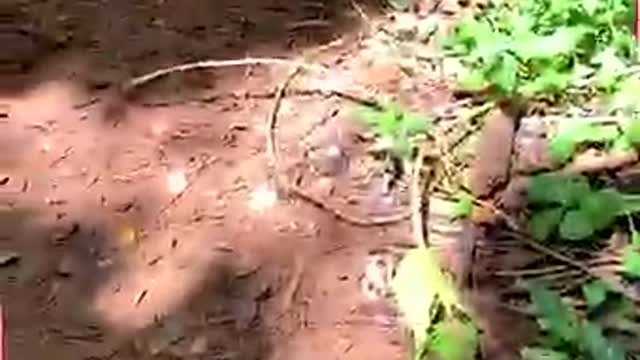 Troubles never inform before arriving!