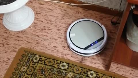 An automatic vacuum cleaner does the job.