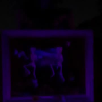 Blooper. Skeleton picture too dark. Year 2, Part 51.