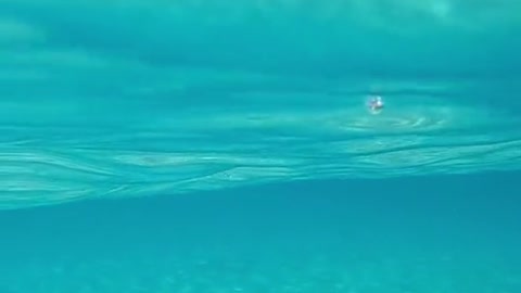 Accompany you to see the sea
