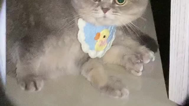 Oops! Foot licking was found