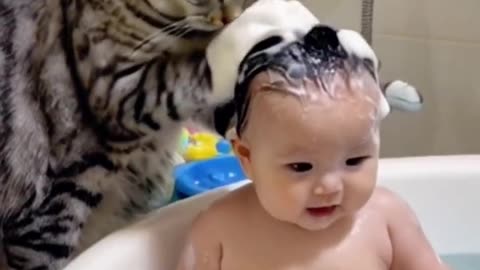 Cat Play with baby 🍼