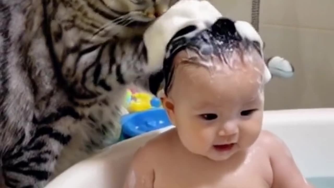 Cat Play with baby 🍼