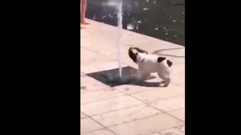 funny fountain