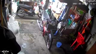 Oblivious Man Steps on Sneaky Snake in Garage