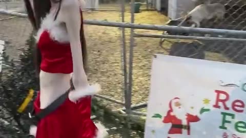 All She Wants For Christmas Is?