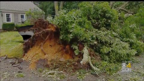 EF1 Sharknado Confirmed On Cape Cod