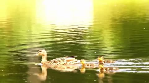 How nice it is to be with your family.