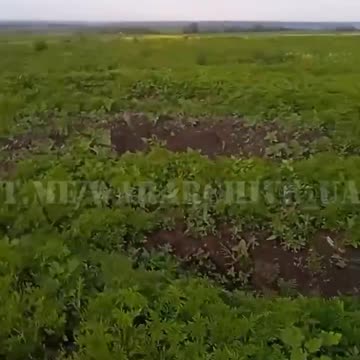 Walking What Remains of Russian Positions