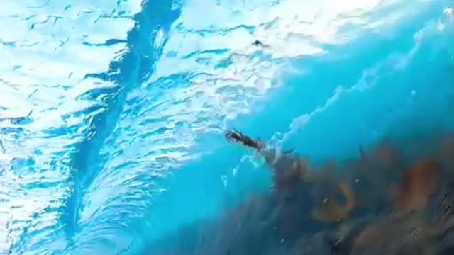 The waves gently beat the shore like a pair of big hands