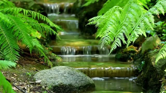 In the rain, streams, bridges, life of all things