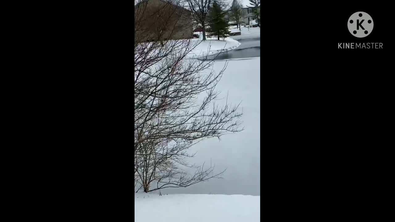 View of the wizard's snow on the beaches snow