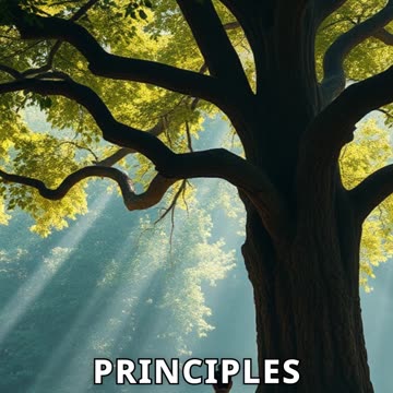 Yudhishthira: The King Who Never Lied