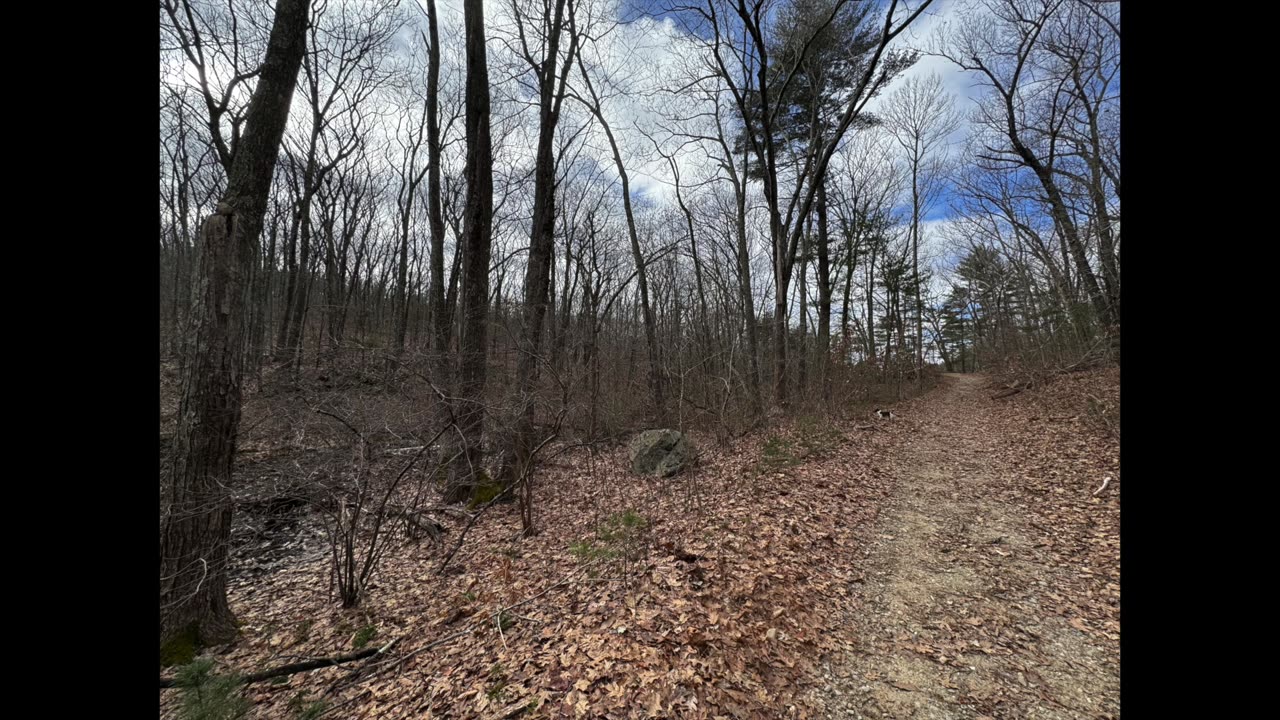 Check Out Harold Parker State Forest Andover, Massachusetts