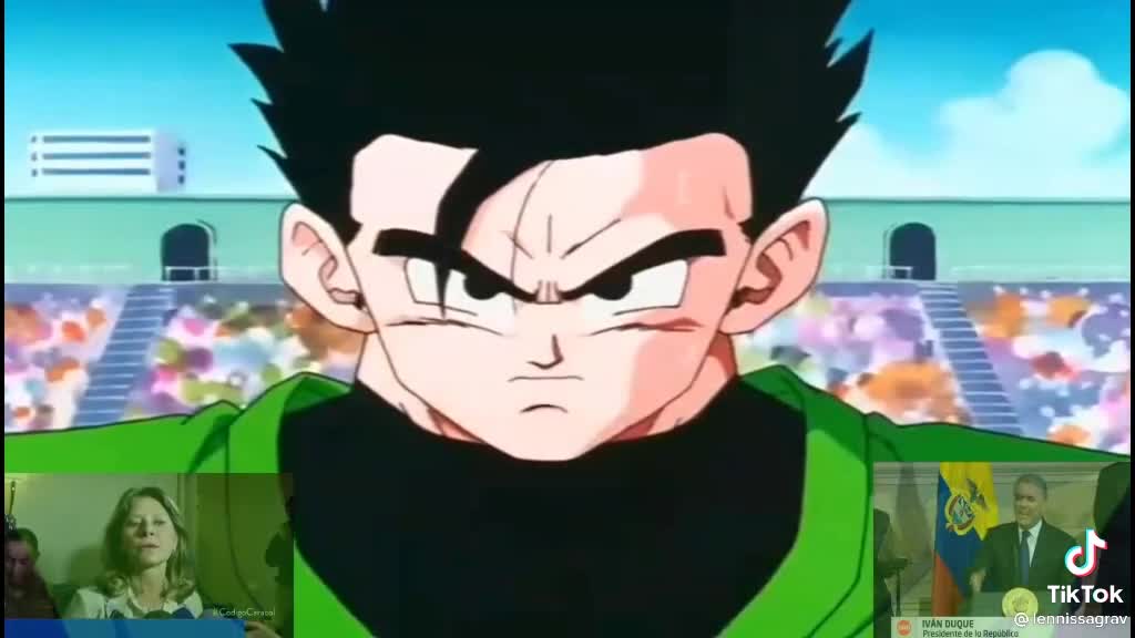 Mensaje de Gohan