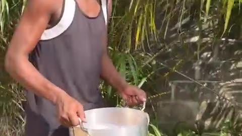 Pot Setup 🤣😂😂🤣😂
