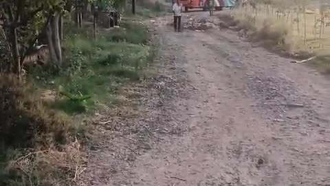 Bus off road