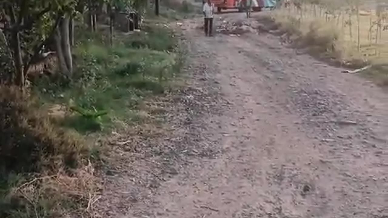 Bus off road