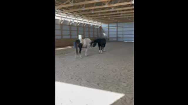 Traveler meets Sunday