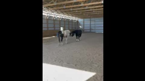 Traveler meets Sunday