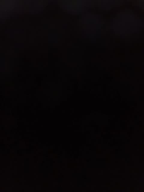 Trump granted immunity by the courts !