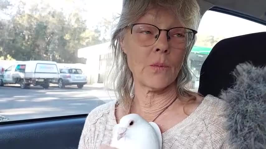 Bernie The White Dove Women, Interview one and two