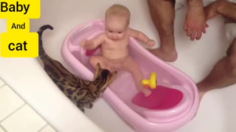 Baby Bathing Time is playing with the cat and having fun