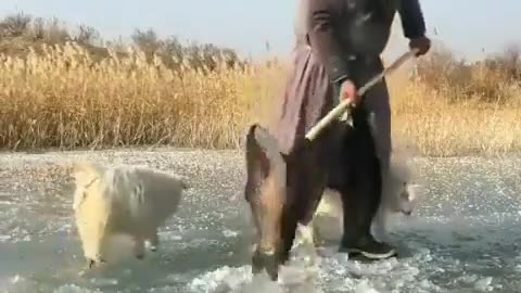 Ice Fishing & Fireplace Cooking