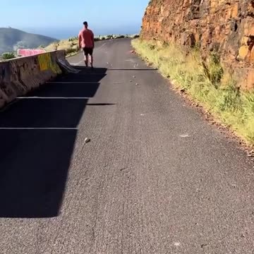 I thought it was mice at first 😊😊