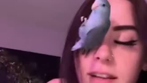 Perfect fit