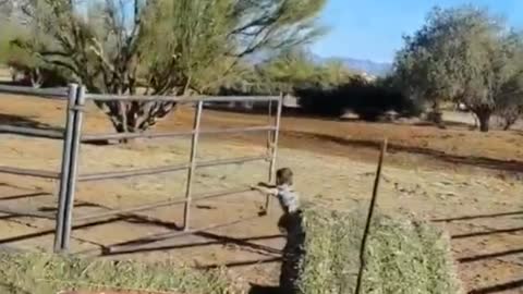 Kiddo Learns Lesson on Why Not to Run While Pushing a Gate