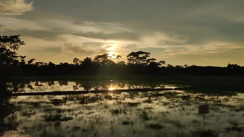 Late afternoon light, hugely beautiful