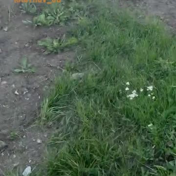 Akhmat Forces Loot Ammunition and Supplies From a Destroyed AFU Armored Vehicle