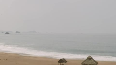 Virgin lonely beach with a palapa